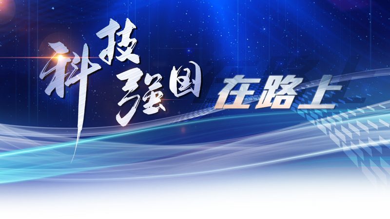 微服务治理：服务网格的实践之道**